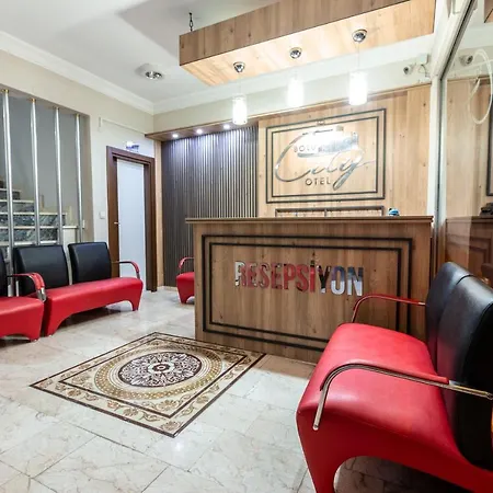 Bolu City Otel 2*